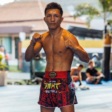 Super Fight Shorts2