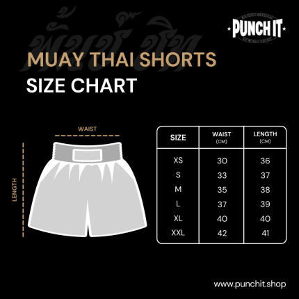 3 MUAY THAI SHORTS